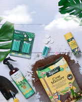 Plant Care