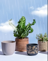 Pots and Planters