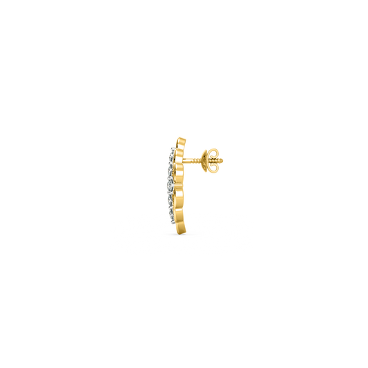 Earrings for her-DER22956