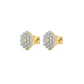DIVAA Diamond Earring For Her