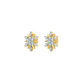 Earrings for her-DER23008