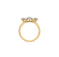 Remy Diamond Ring