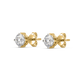 Myla Dazzling Solitaire Studs