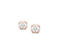 Vienna Sparkling Solitaire Studs