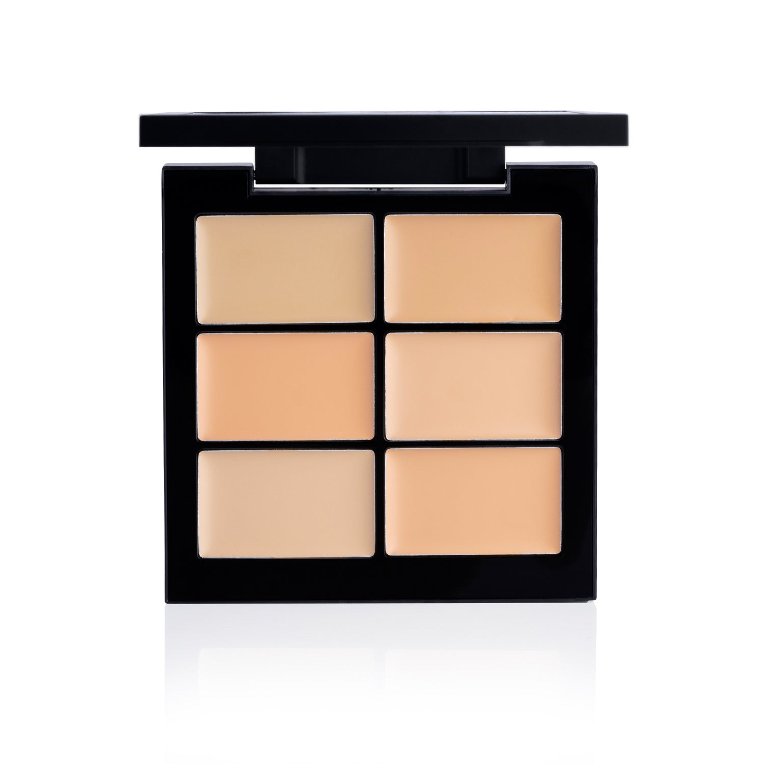 PAC Cosmetics Go Concealer X6 (1.5 gm) #Color_Light