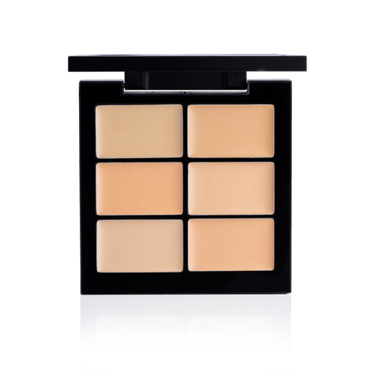 PAC Cosmetics Go Concealer X6 (1.5 gm) #Color_Light