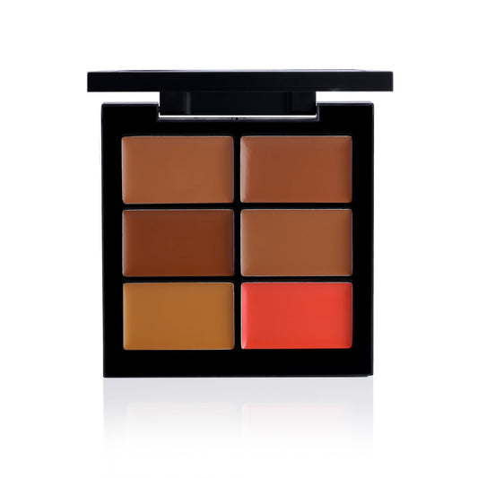 PAC Cosmetics Go Concealer X6 (1.5 gm) #Color_Deep