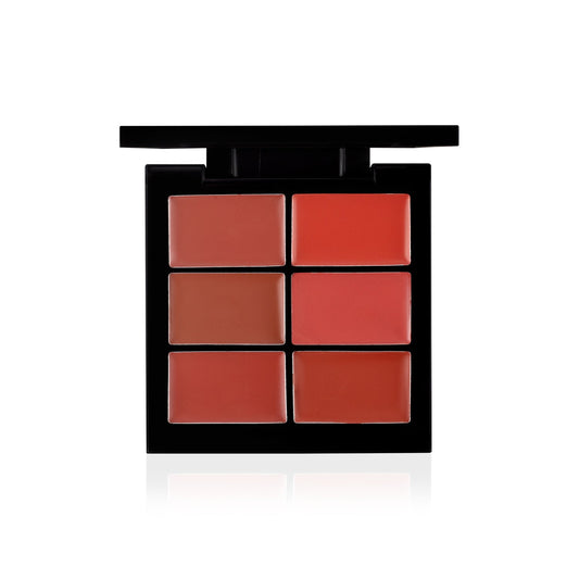 PAC Cosmetics Lip Palette X6 (2 gm) #Color_Nude