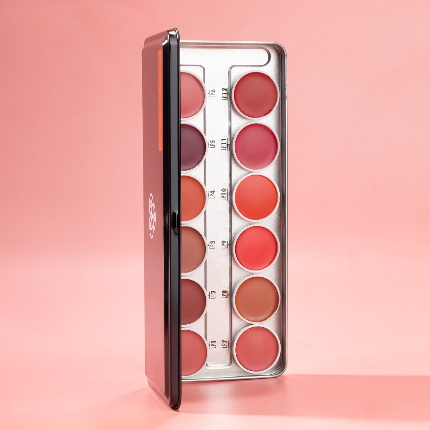 PAC Cosmetics Pro Lipstick Palette X12 (2.8 gm)