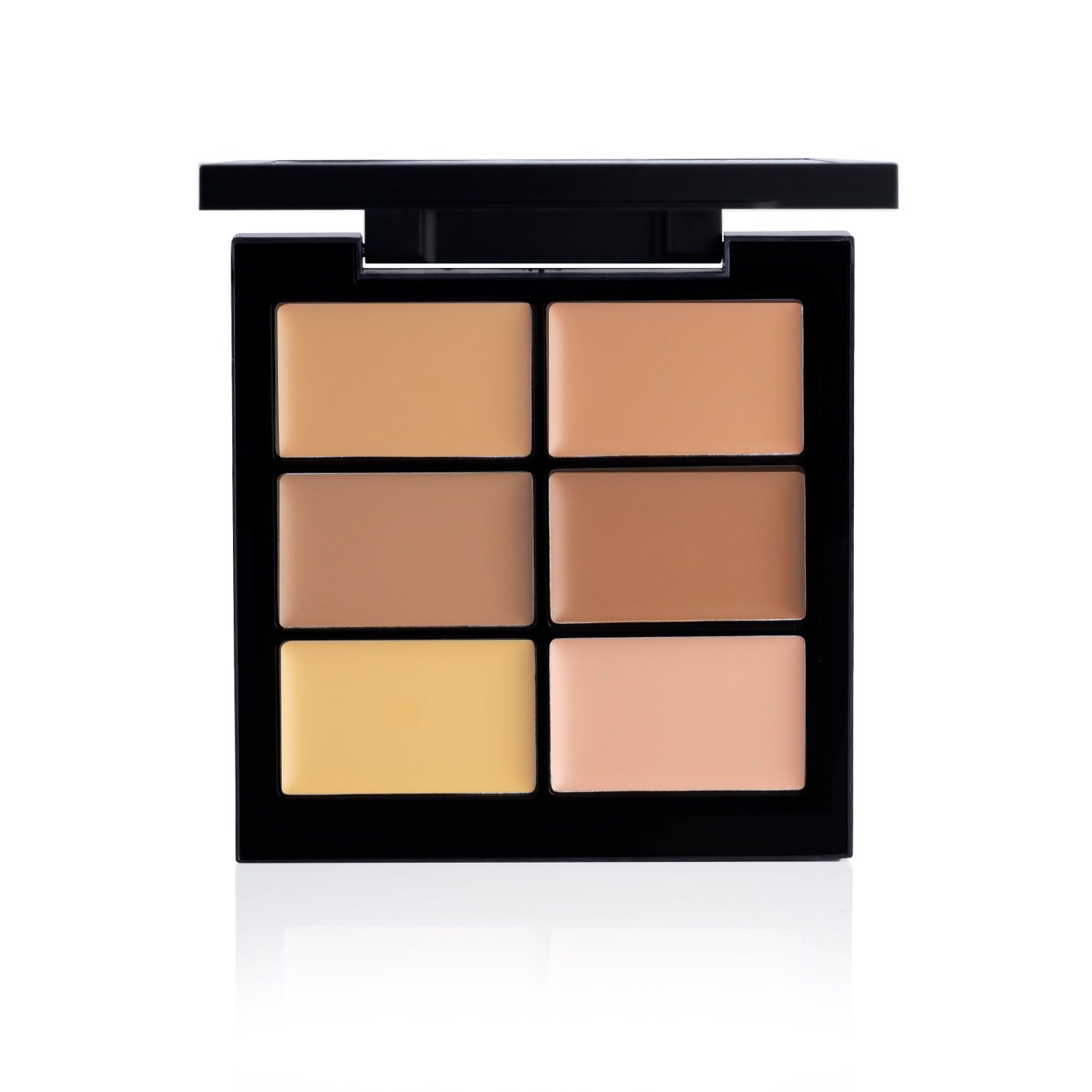PAC Cosmetics Go Concealer X6 (1.5 gm) #Color_Medium
