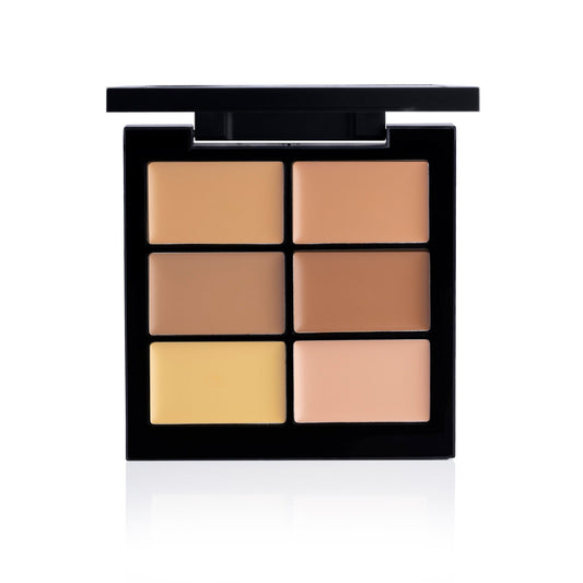 PAC Cosmetics Go Concealer X6 (1.5 gm) #Color_Medium