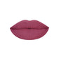 PAC Cosmetics Intimatte Lipstick (4g) #Color_Climax