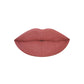 PAC Cosmetics Intimatte Lipstick (4g) #Color_Urban Wild